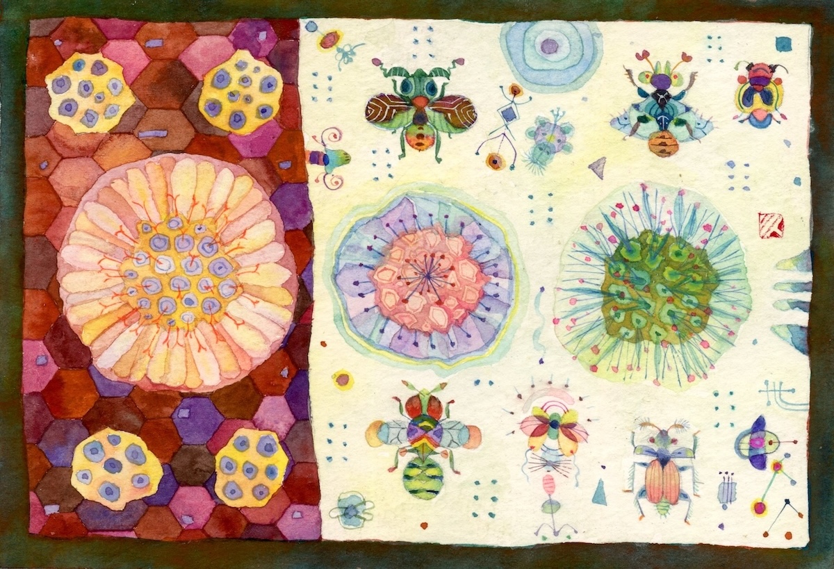 くぼやまさとる