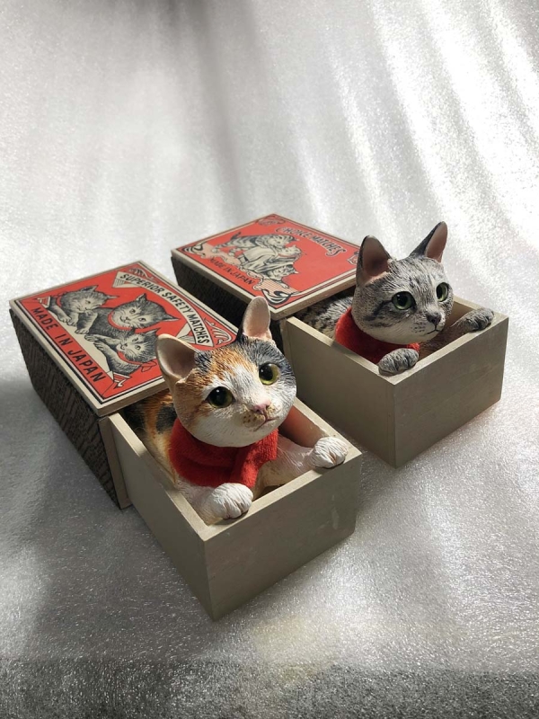 Matchbox cat／order