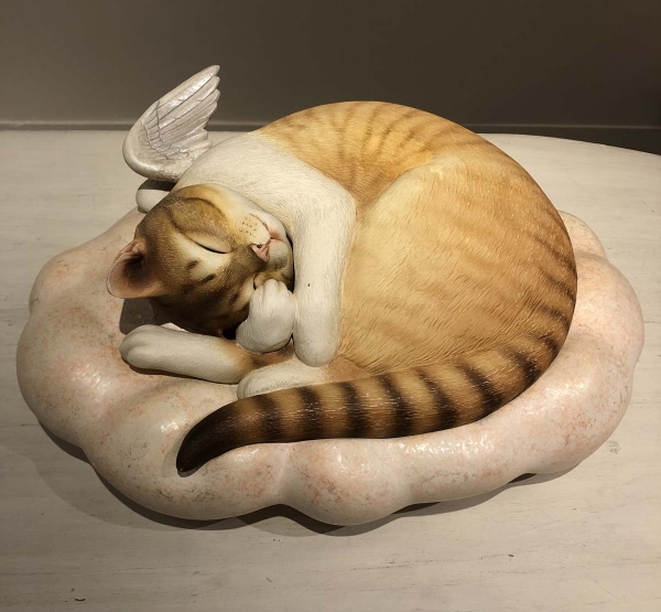 Cat comfort-Negokochi-