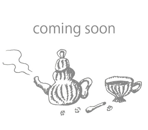 ２０２１年開催の展覧会は２０２１年１月より公開いたします